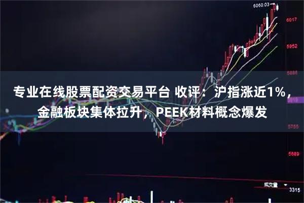 专业在线股票配资交易平台 收评：沪指涨近1%，金融板块集体拉升，PEEK材料概念爆发