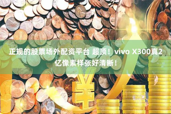正规的股票场外配资平台 超顶！vivo X300真2亿像素样张好清晰！